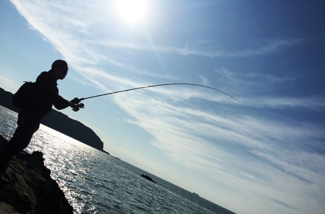 Shore Jigging A Step by Step Guide to Mastering This Accessible