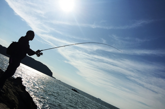 Shore Jigging: A Step-by-Step Guide to Mastering This Accessible Technique