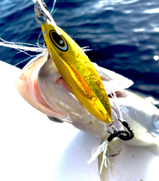 Super Light Jigging: A Complete Guide to Mastering This Exciting Technique
