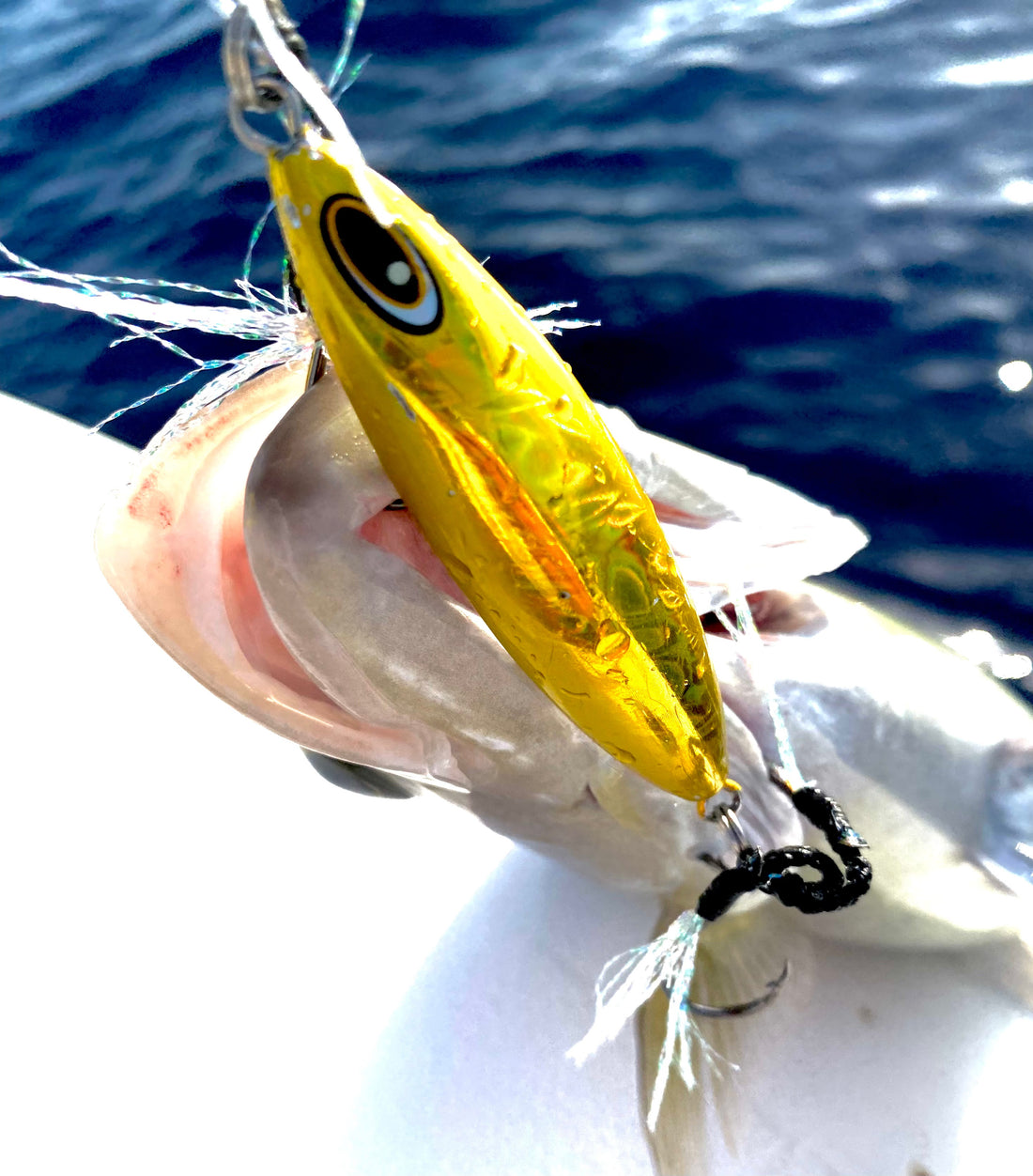 Super Light Jigging: A Complete Guide to Mastering This Exciting Techn –  www.